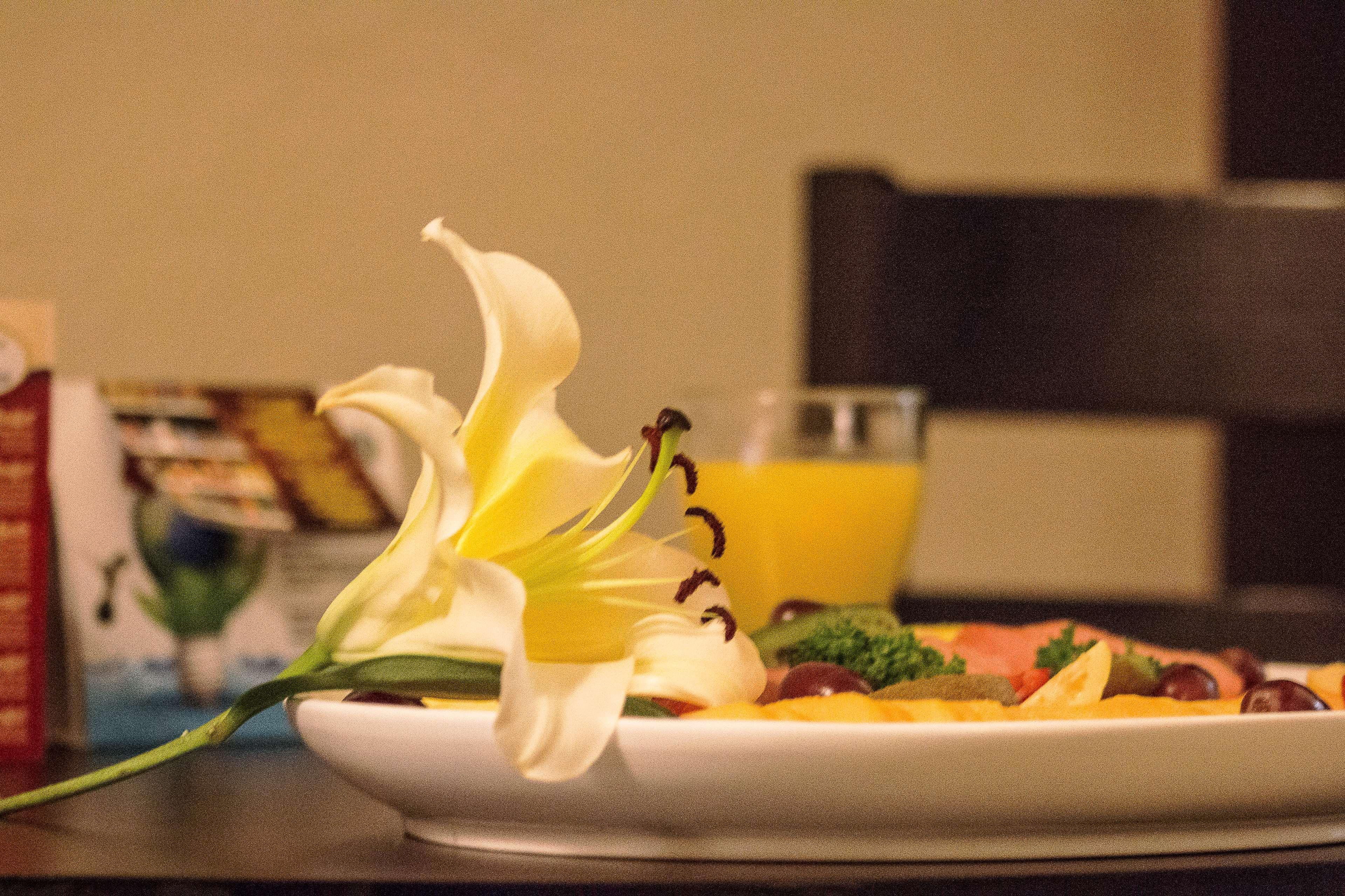 Best Western Posada Del Rio Gomez Palacio Εξωτερικό φωτογραφία